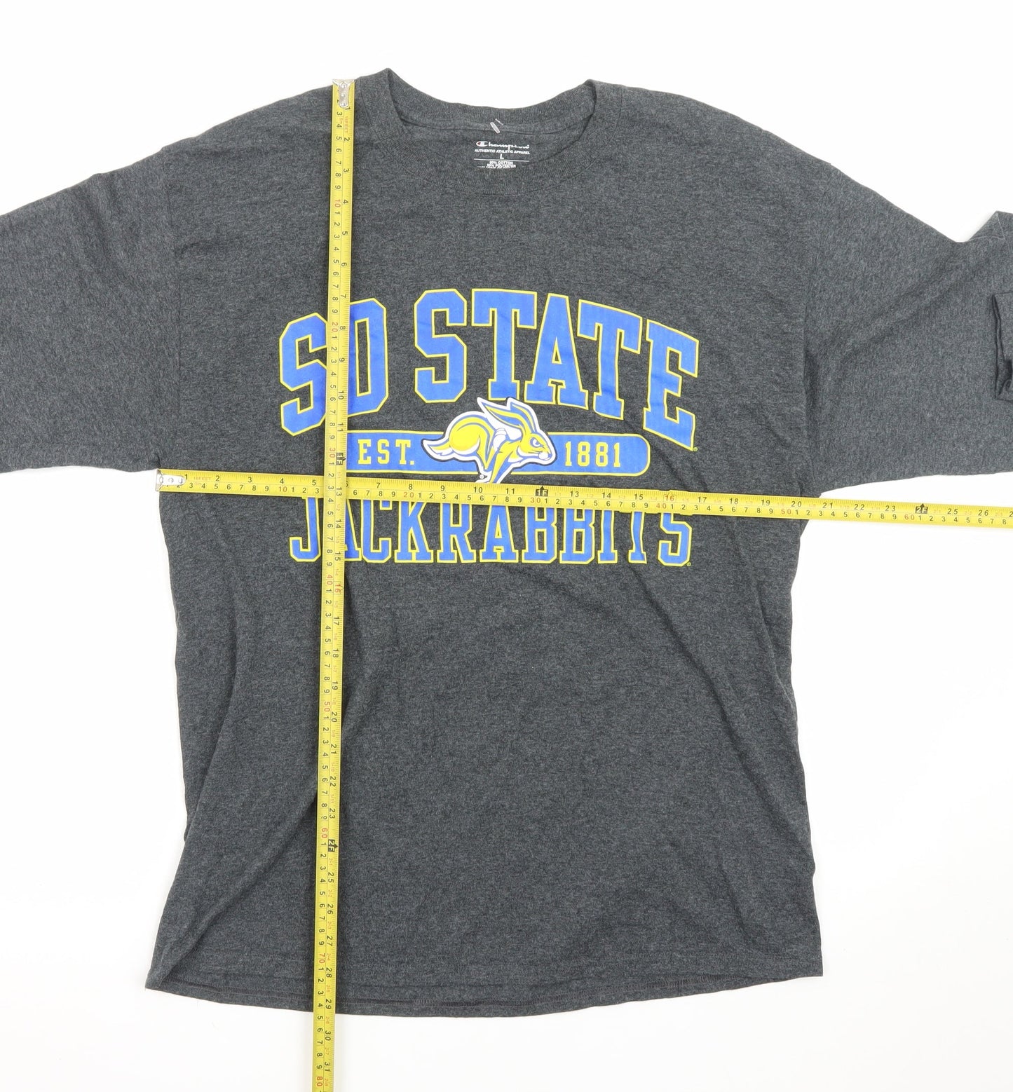 Champion Men's Grey Long Sleeve SD State Jackrabbits T-Shirt L