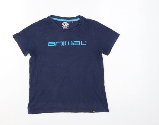 Animal Boys Blue 9-10 Years Cotton Crew Neck Short Sleeve T-Shirt