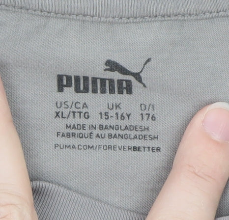 Puma Boys Grey Logo Short Sleeve T-Shirt 15-16 Years