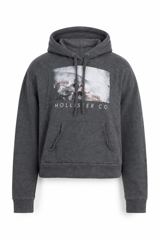 Hollister Women Grey XS Pullover Hoodie with Graphic Print