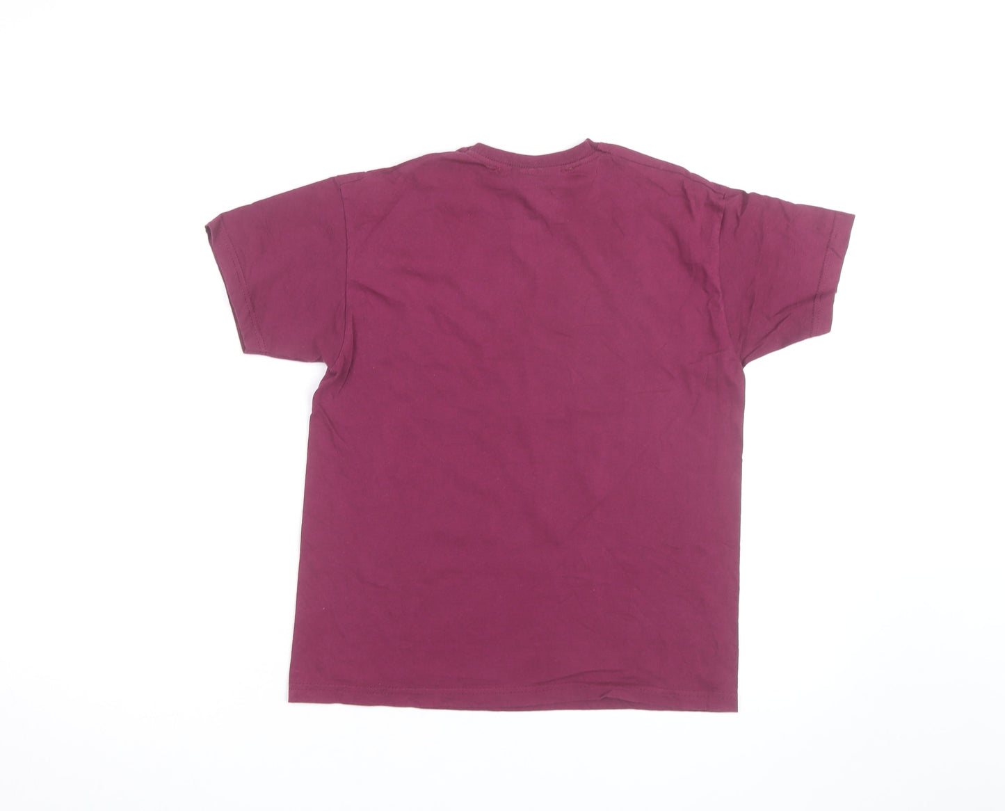 Harry Potter Boys Burgundy Platform 9¾ T-Shirt Medium Short Sleeve 100% Cotton