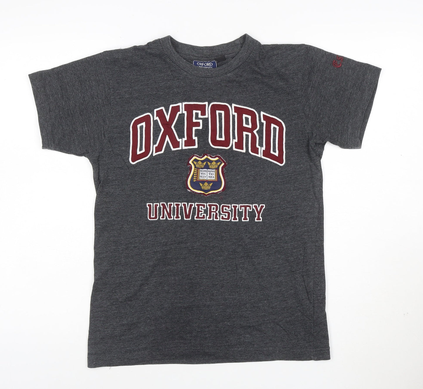 Oxford University Mens Grey XS Graphic Cotton T-Shirt