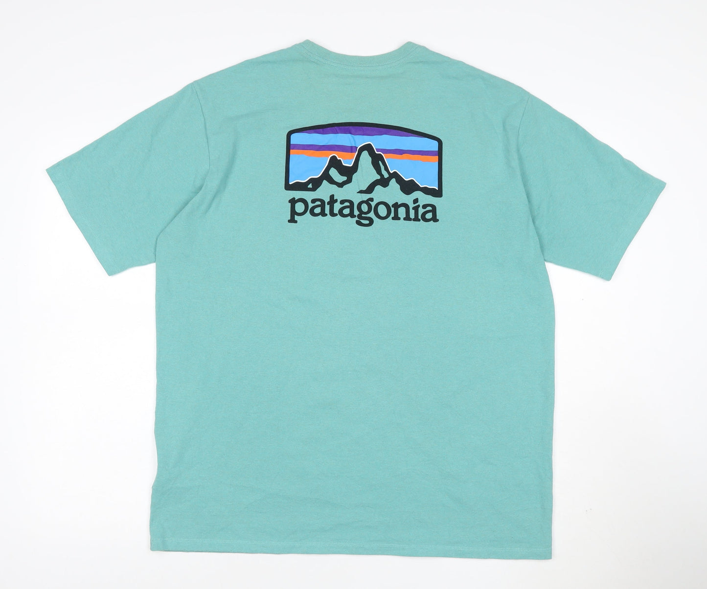Patagonia Men’s Green Regular Fit Graphic T-Shirt L