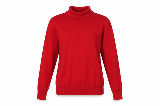 Front view of Papaya Women Red, size 8, Roll Neck Fine Knit jumper