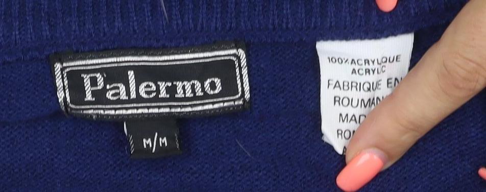 Palermo Men's Blue M V-Neck Striped Acrylic Knit Pullover Jumper