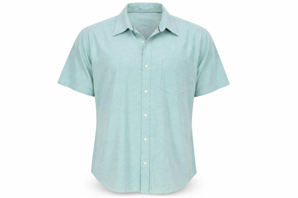 Marks & Spencer Men Blue L Regular Cotton Button-Down Shirt