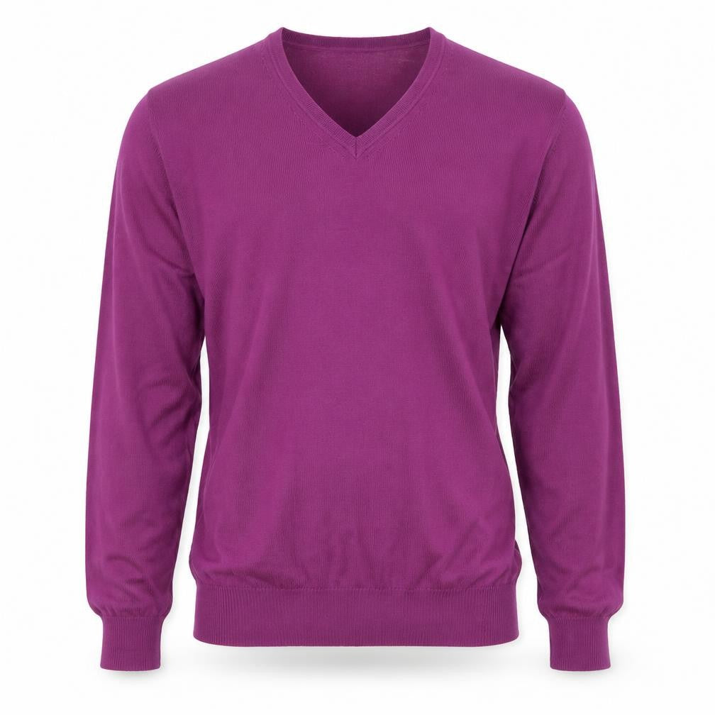 Charles Tyrwhitt Men's Purple M Merino Wool V-Neck Pullover Jumper