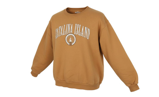 Prewornwholesale brown Hollister Catalina Island crew neck pullover sweatshirt with white graphic logo