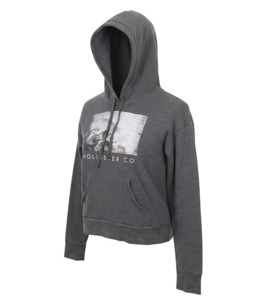 Prewornwholesale grey Hollister pullover hoodie with front graphic print, drawstring hood, and kangaroo pocket